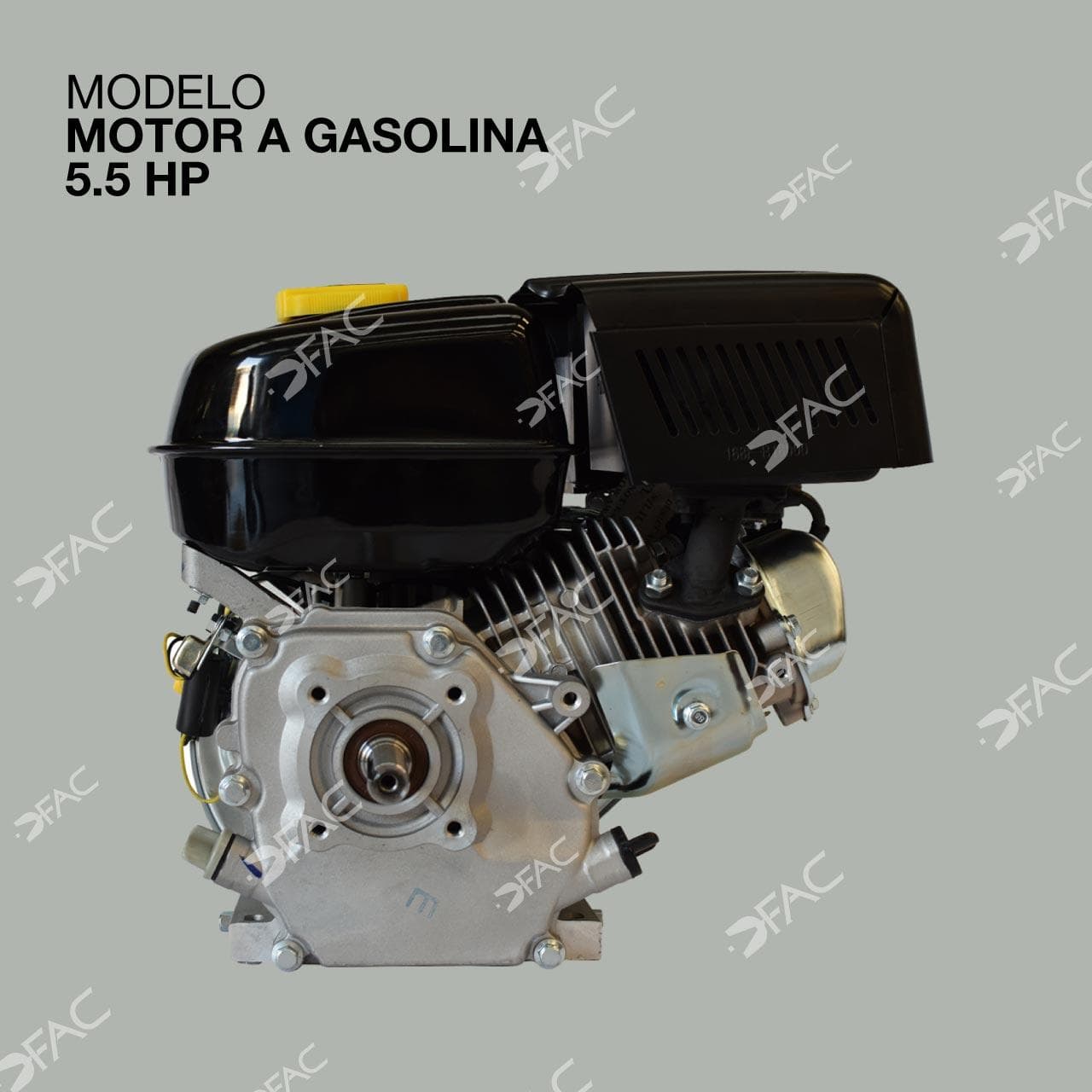 MOTOR 5.5 H.P