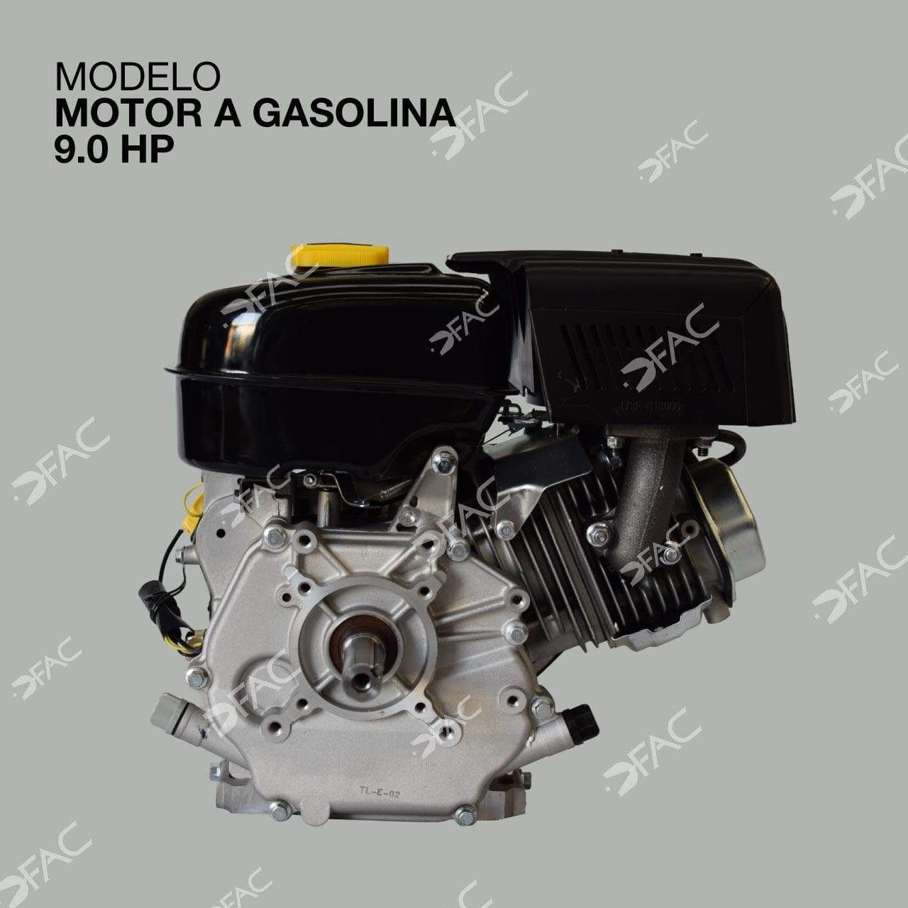 MOTOR 9 HP