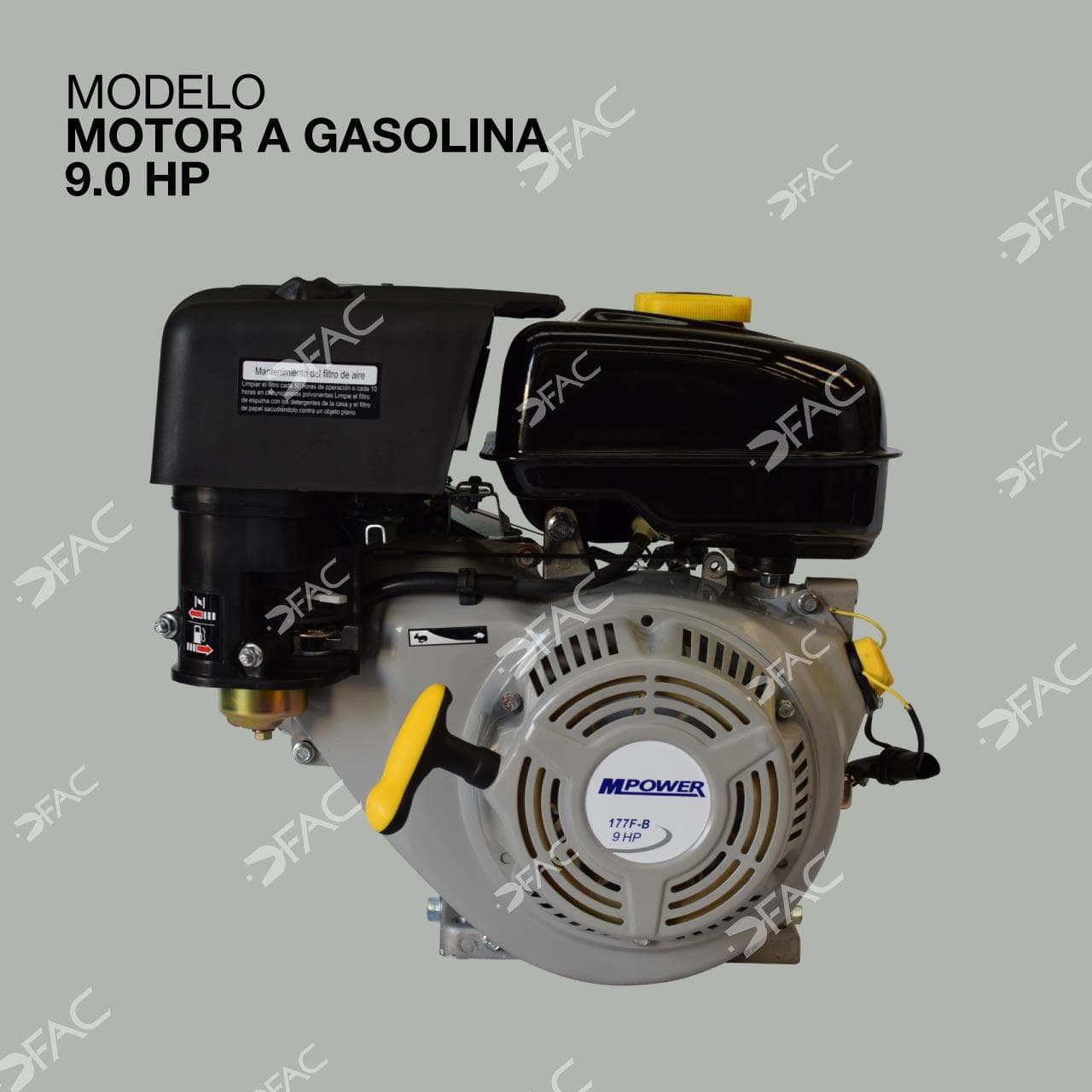 MOTOR 9 HP